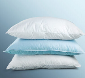 Organic Cotton Bed Pillow Pillow covers