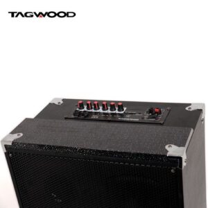 TAGWOOD 10A Outdoor Speaker