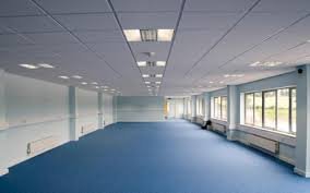 Experienced carpenters for ceilings