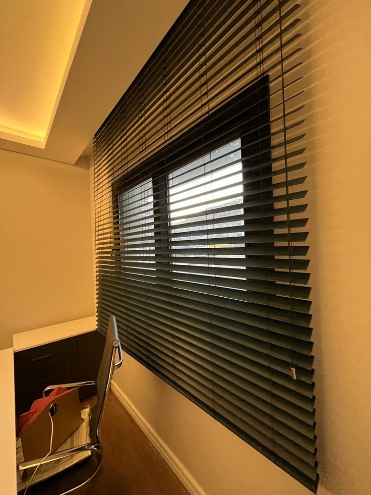 Office Window Blinds1